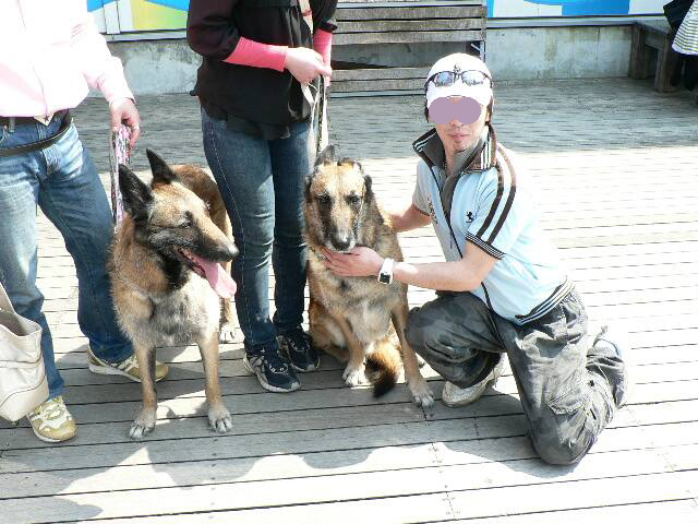 yX\IzybgpiAD҂uAmazon~NJvŋȗR