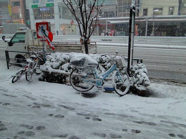 金券ショップ 門前仲町前のバス停【筆者撮影】